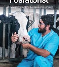 Fosfatbrist - ett livsviktigt tillskott för boskap och människor